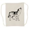 Canvas Drawstring Backpack Thumbnail
