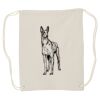 Canvas Drawstring Backpack Thumbnail