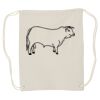 Canvas Drawstring Backpack Thumbnail