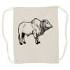 Canvas Drawstring Backpack Thumbnail