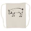 Canvas Drawstring Backpack Thumbnail