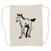 Canvas Drawstring Backpack Thumbnail