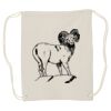 Canvas Drawstring Backpack Thumbnail