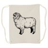 Canvas Drawstring Backpack Thumbnail