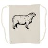 Canvas Drawstring Backpack Thumbnail
