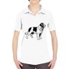 Ladies' Cool & Dry Sport Performance Interlock Polo Thumbnail
