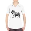 Ladies' Cool & Dry Sport Performance Interlock Polo Thumbnail