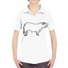 Ladies' Cool & Dry Sport Performance Interlock Polo Thumbnail