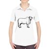Ladies' Cool & Dry Sport Performance Interlock Polo Thumbnail