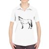Ladies' Cool & Dry Sport Performance Interlock Polo Thumbnail