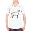Ladies' Cool & Dry Sport Performance Interlock Polo Thumbnail